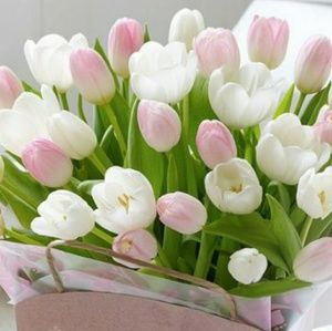 Meet your Posher, Irina